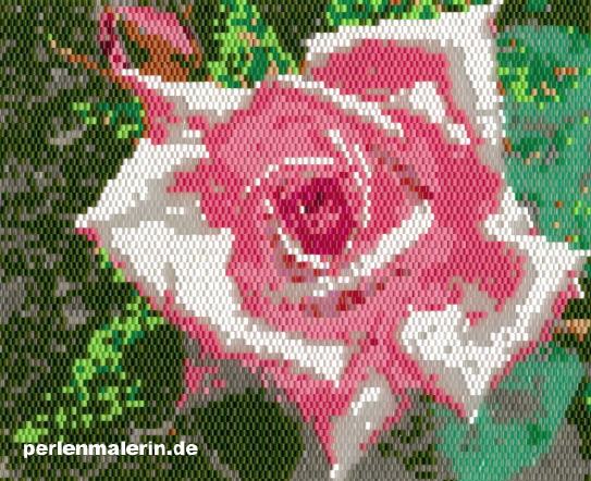 Perlenbild Rose hell