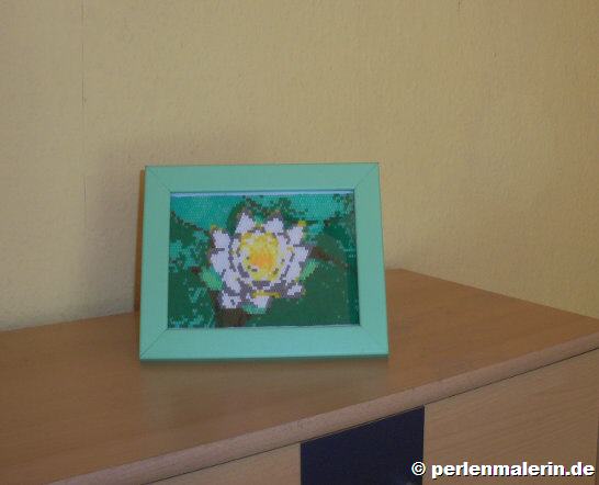 Perlenbild Seerose